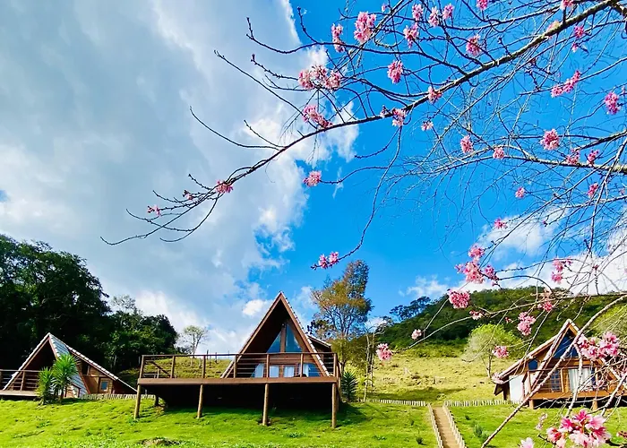 Chales Fazenda Floresta Das Araucarias