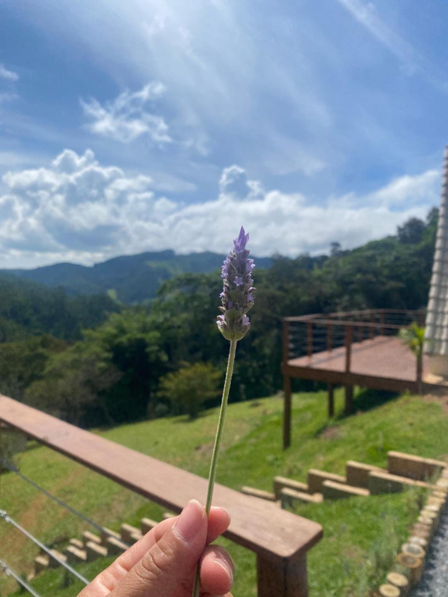 Fazenda Floresta Araucarias Chalet *