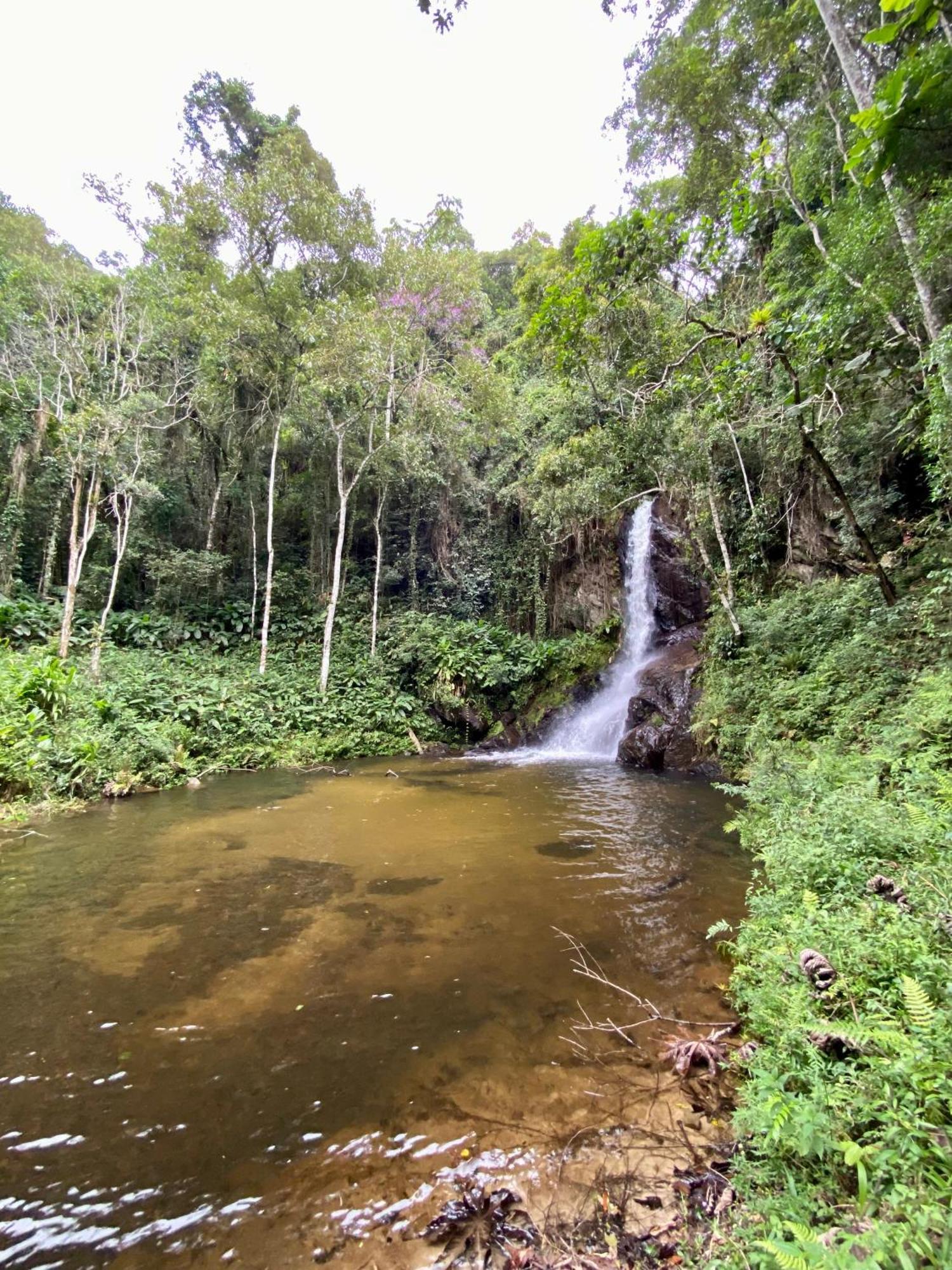 Chalet Fazenda Floresta Araucarias
